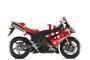 Yamaha R1 10th Anniversary