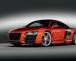 Audi R8 TDI Le Mans