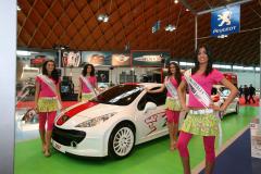 Peugeot 207 Le Mans Series