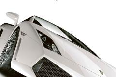 Automobili Lamborghini: il libro