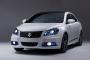 Suzuki Kizashi Ecocharge Concept