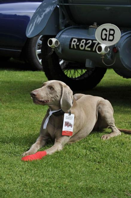 Concorso d'Eleganza di Villa d'Este edizione 2013