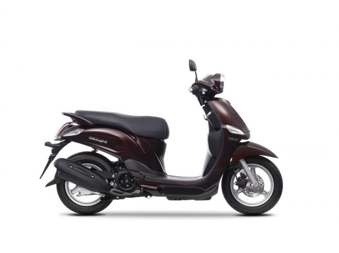 Yamaha D'elight 2014