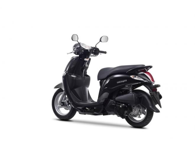 Yamaha D'elight 2014