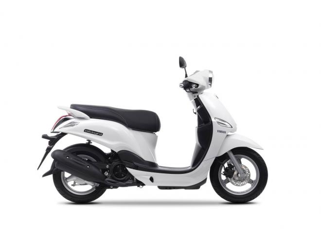 Yamaha D'elight 2014
