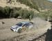 Volkswagen è Campione del Mondo Rally 2013