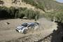 Volkswagen è Campione del Mondo Rally 2013